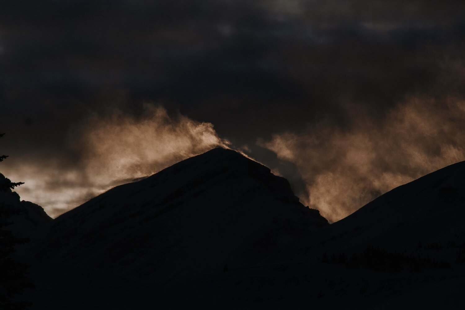 Photo #4032499