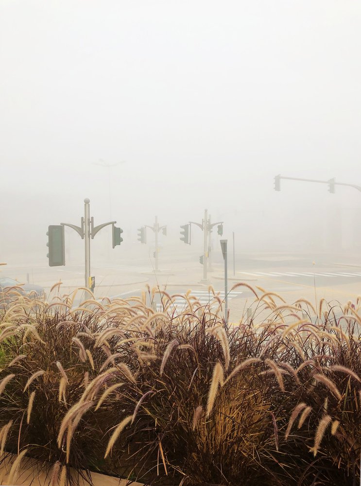 Photograph by Alisa Shaposhnikova