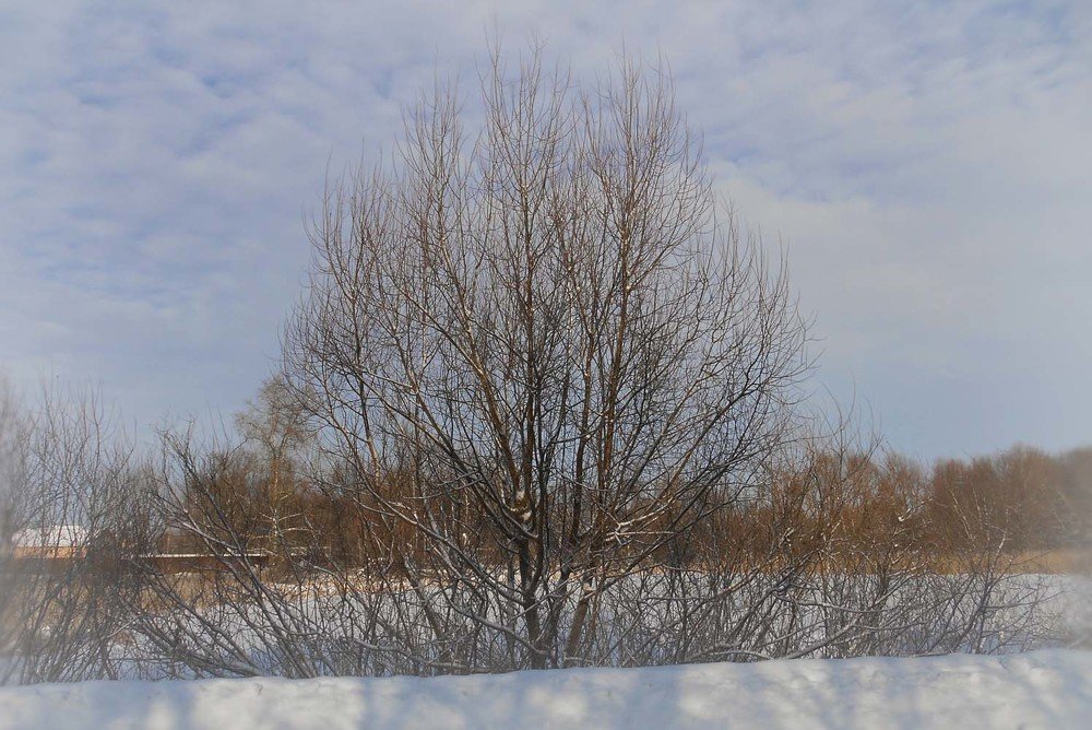 Photograph by Светлана Пивоварова