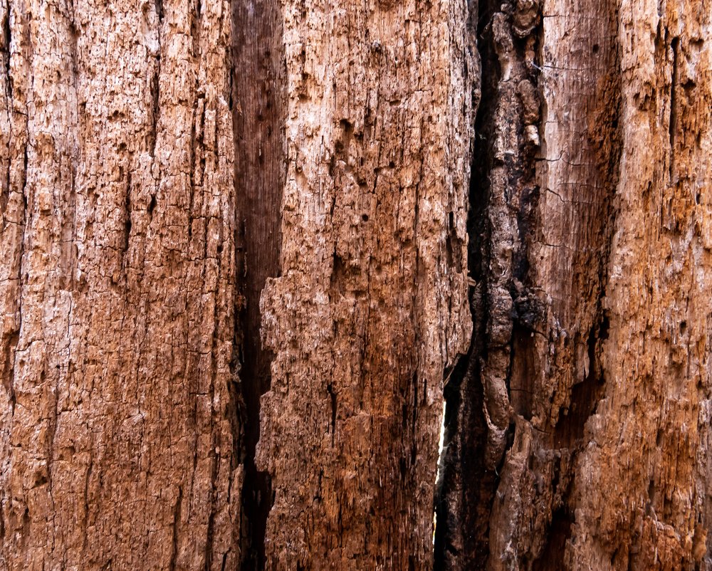 Фотография автора Igor Kovalenko