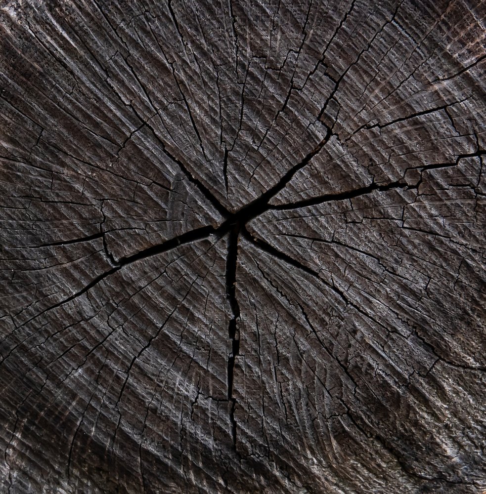 Фотография автора Igor Kovalenko