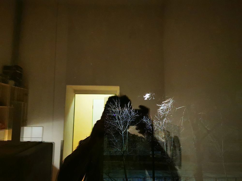 Photograph by Sandor Zoltan Gal