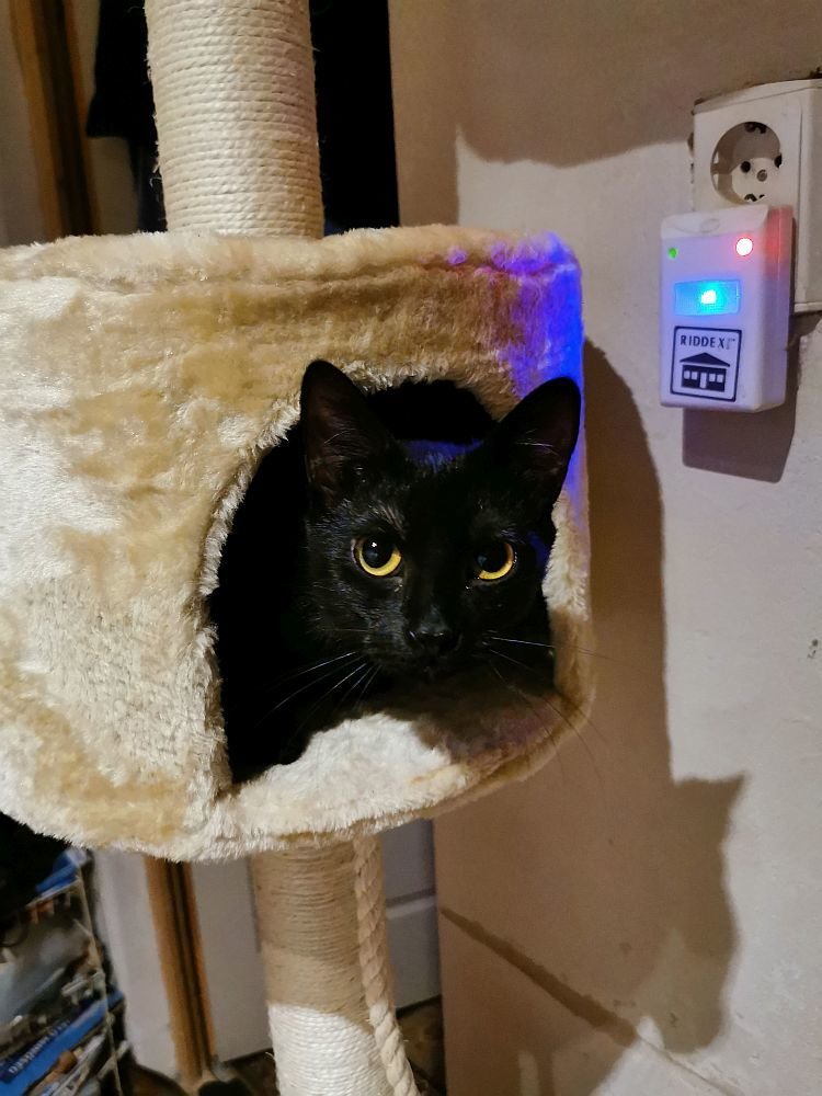 Photograph by Sandor Zoltan Gal