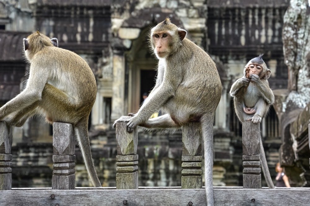 Photograph by Екатерина Овчаренко