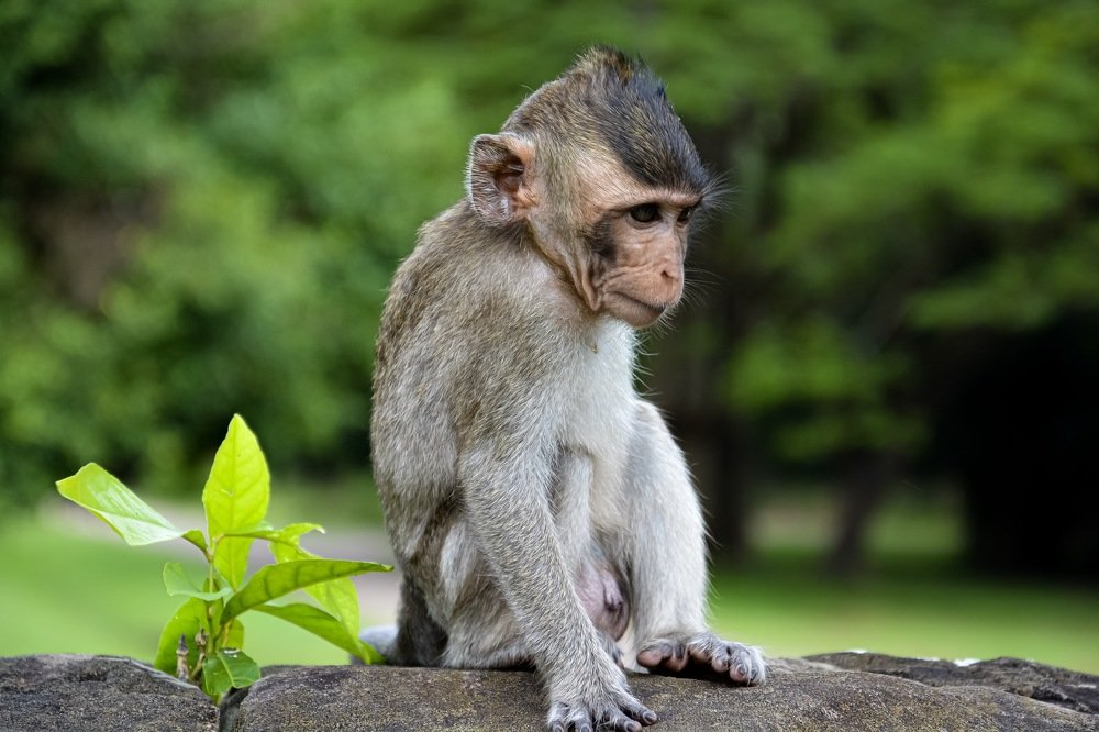 Photograph by Екатерина Овчаренко