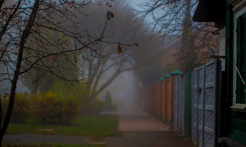 Photograph by Иван Полиненко