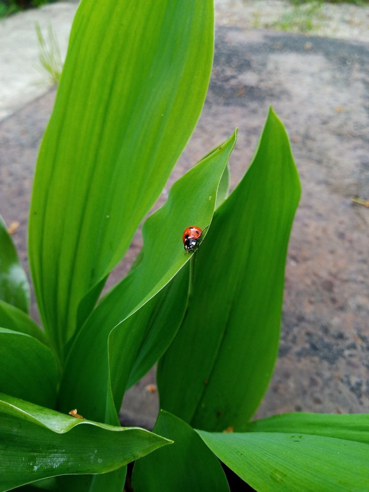 Photograph by Роман Сорокин