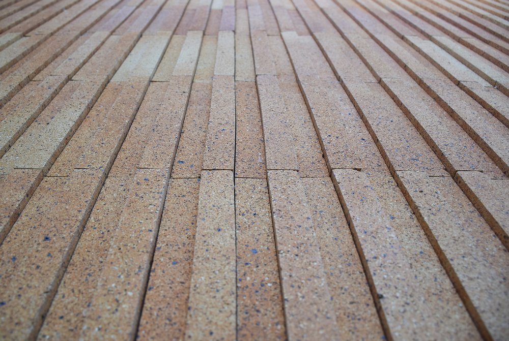 Photograph by Safoura Pourpirali