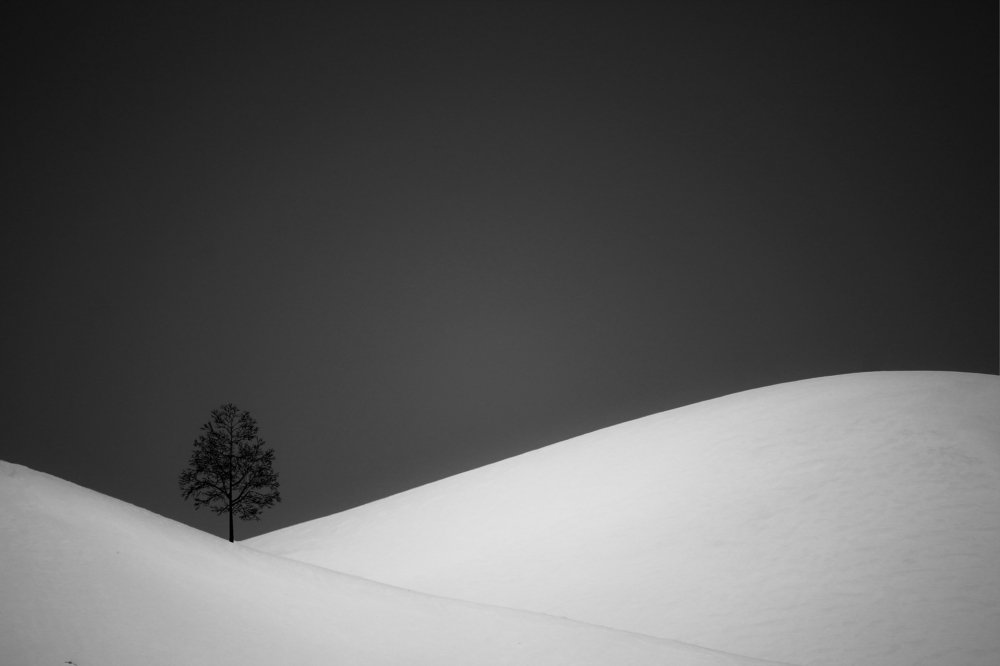 Photograph by Mohammad Tayebi