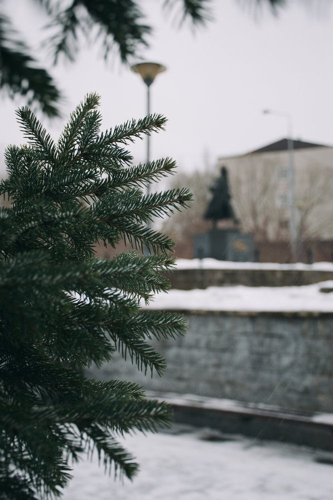 Photograph by Анна Коротя