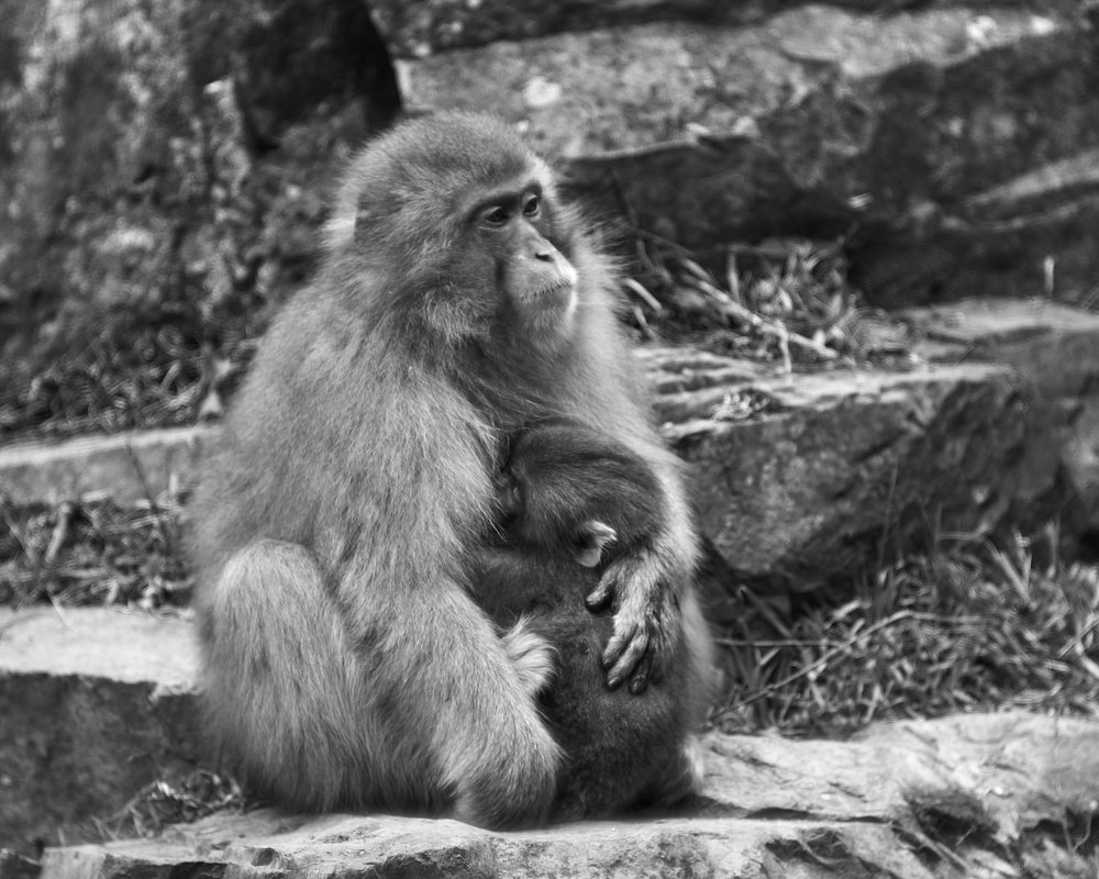 Photograph by Michael Epel