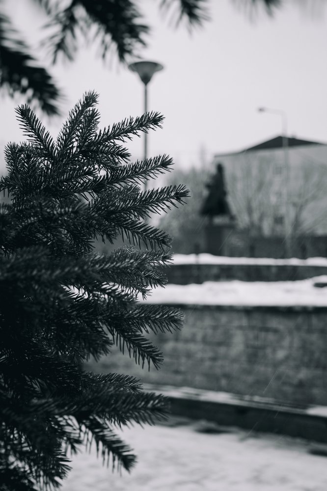 Photograph by Анна Коротя