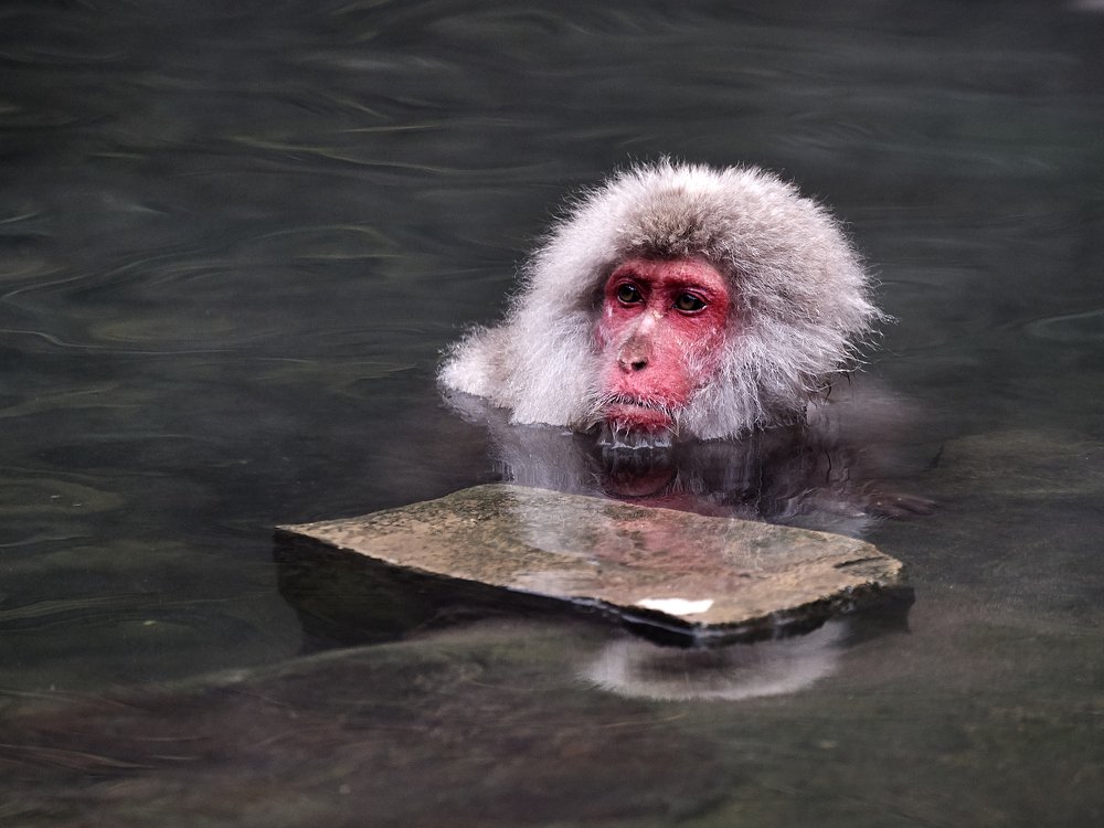 Photograph by Michael Epel