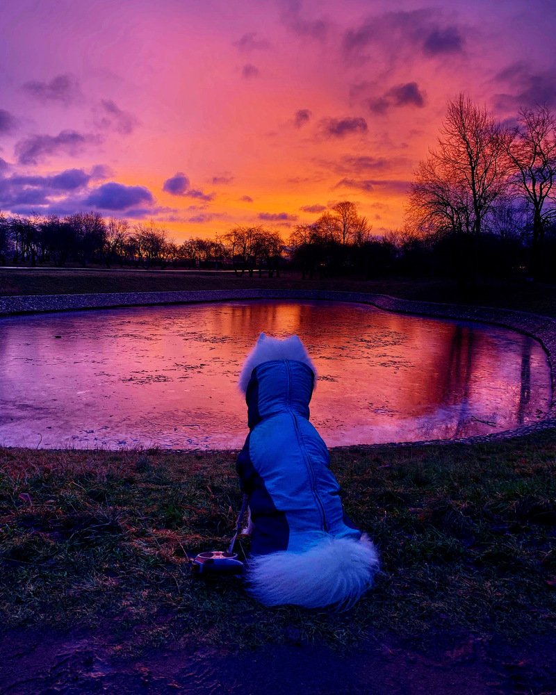 Photograph by Никита Борзов