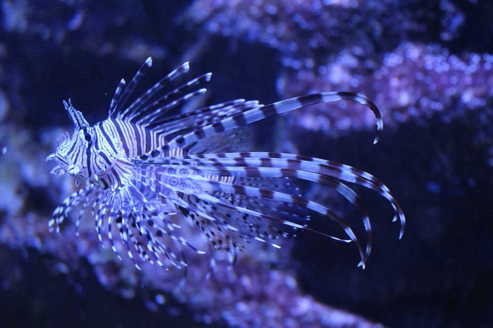 Photograph by ahmadreza souri