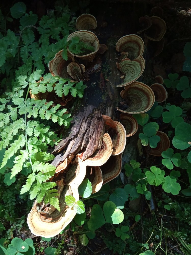 Photograph by Любовь Шаврина