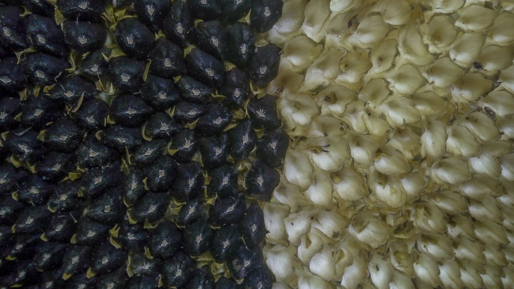 Photograph by Дарья Богославская