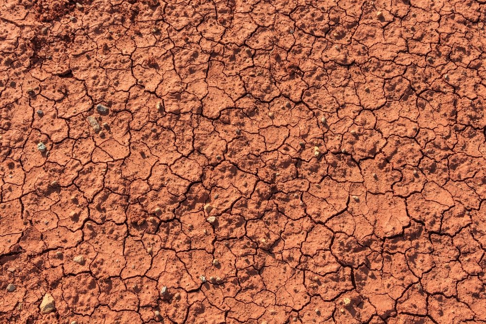 Photograph by виктор ковчин