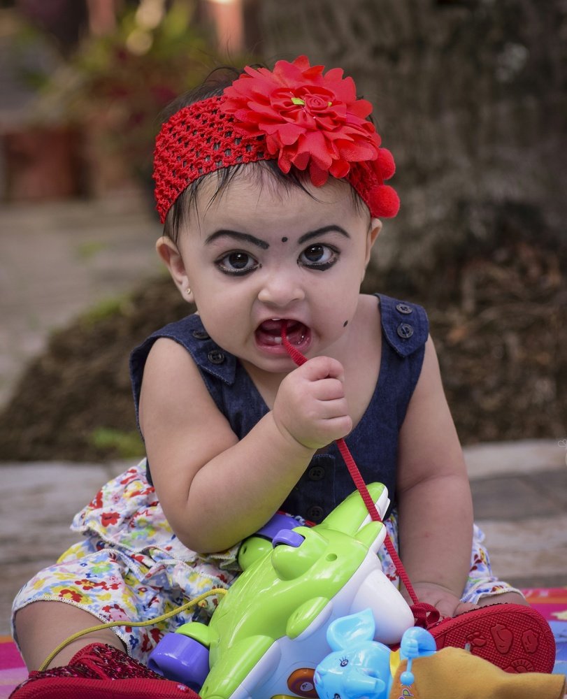 Фотография автора abhilash a k