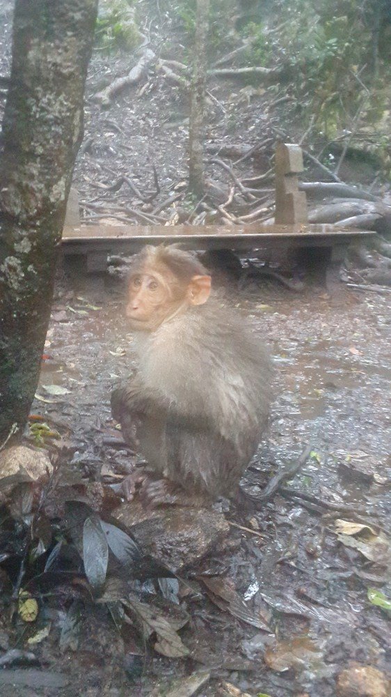 Photograph by Harisankar B