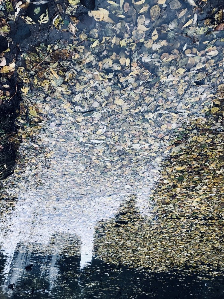 City of the autumn. Город осени.