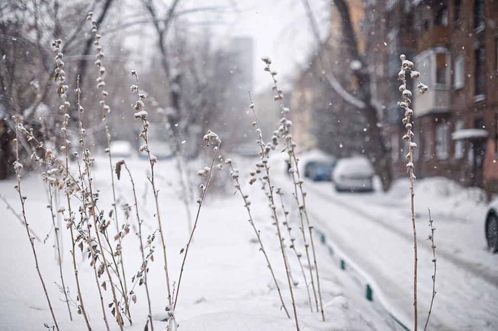 Photograph by Елена Цырюк