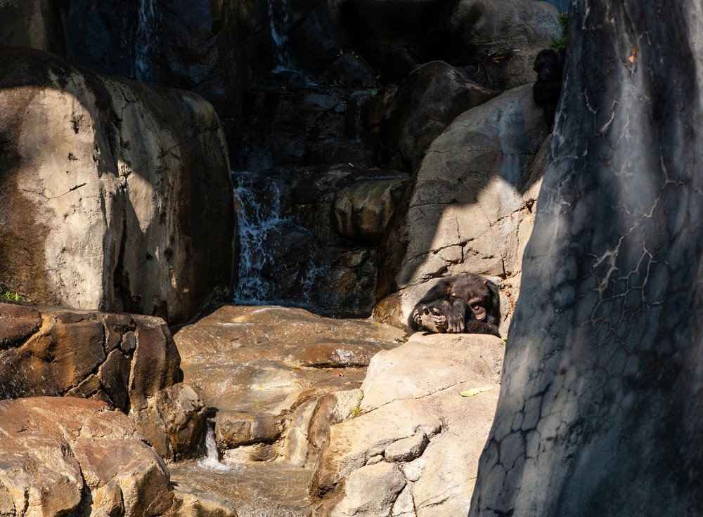 Photograph by Володимир Сорін