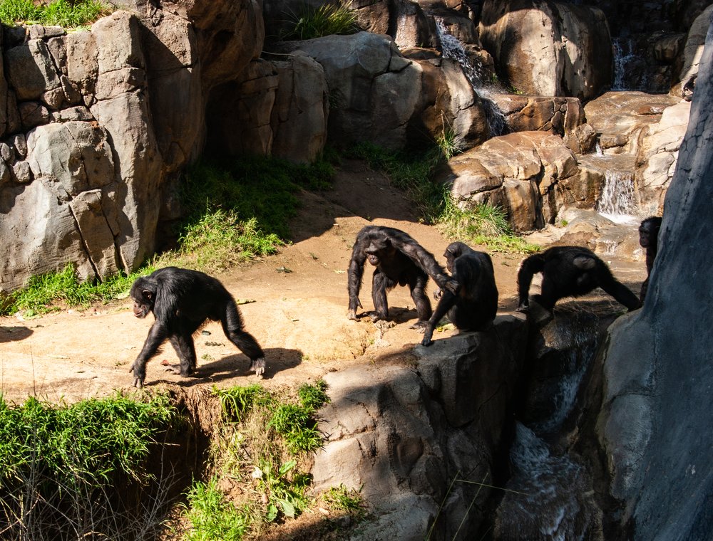 Photograph by Володимир Сорін
