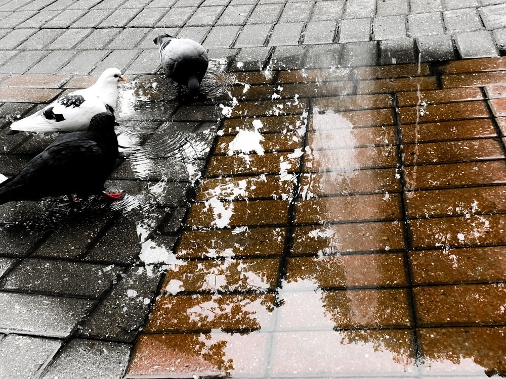 Photograph by Юлия Брежнева