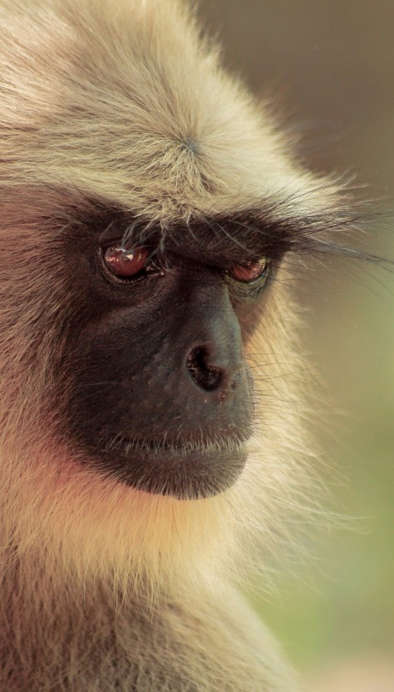 Photograph by Atul mehta