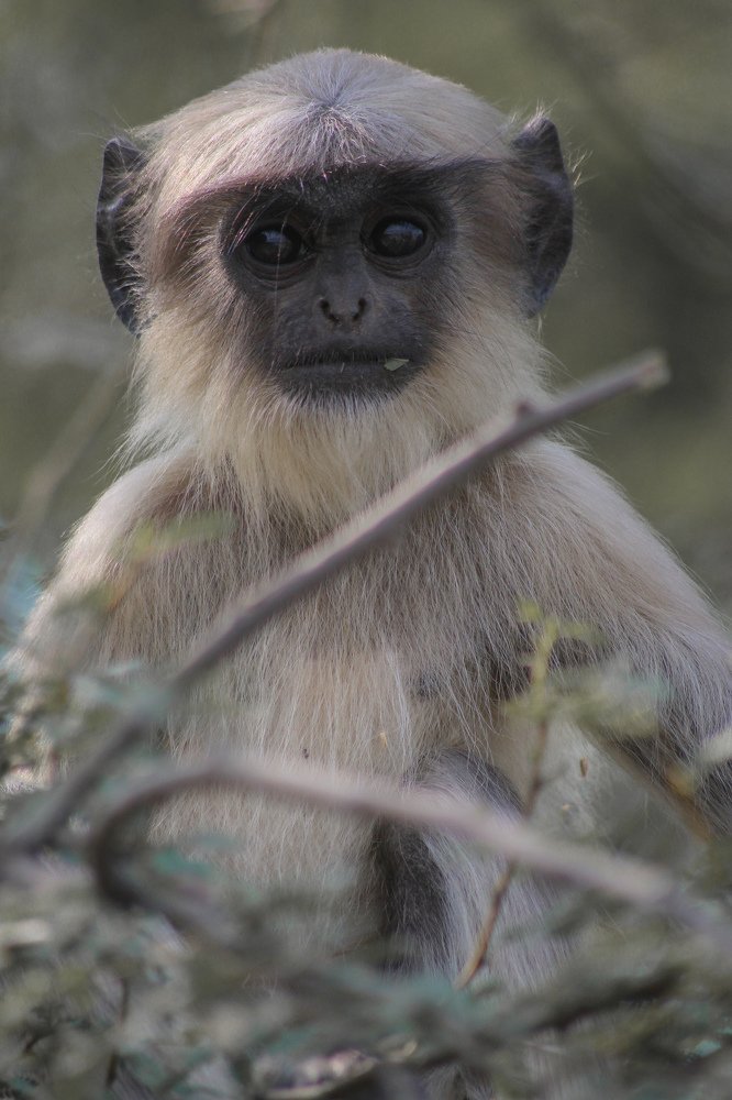 Photograph by Atul mehta