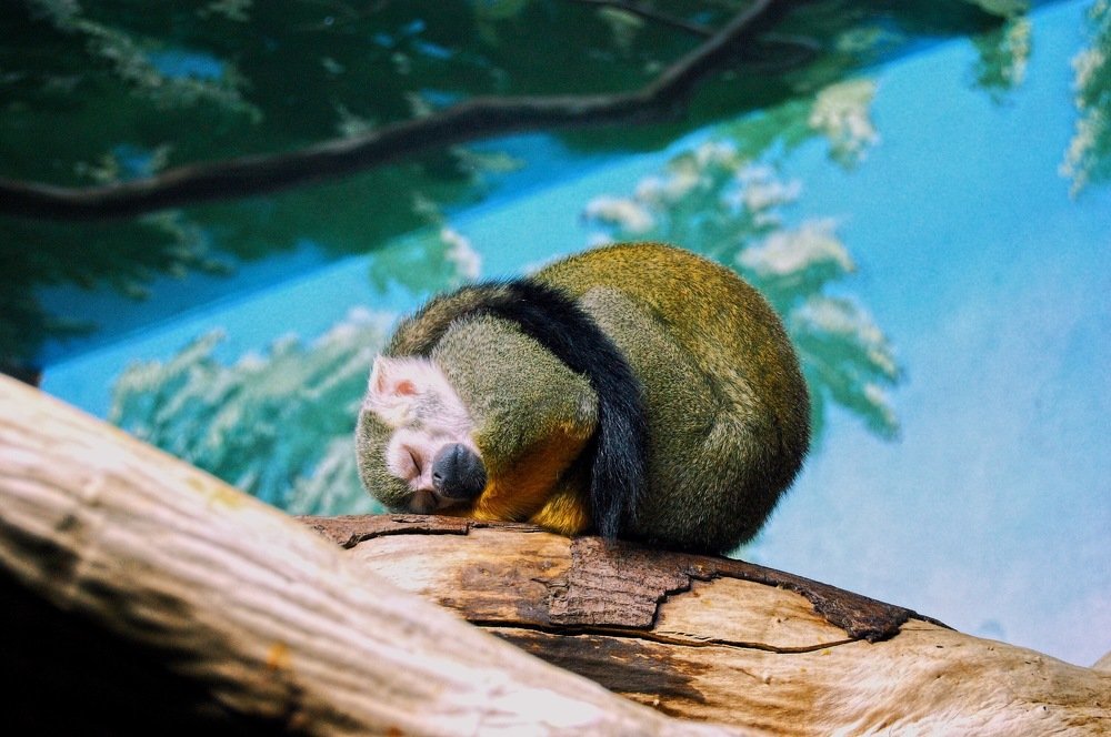 Photograph by Daria Kaloshina