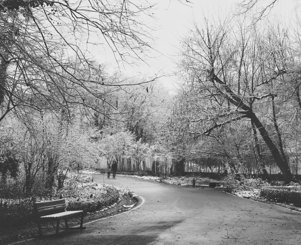 Photograph by Жанна Шаталина