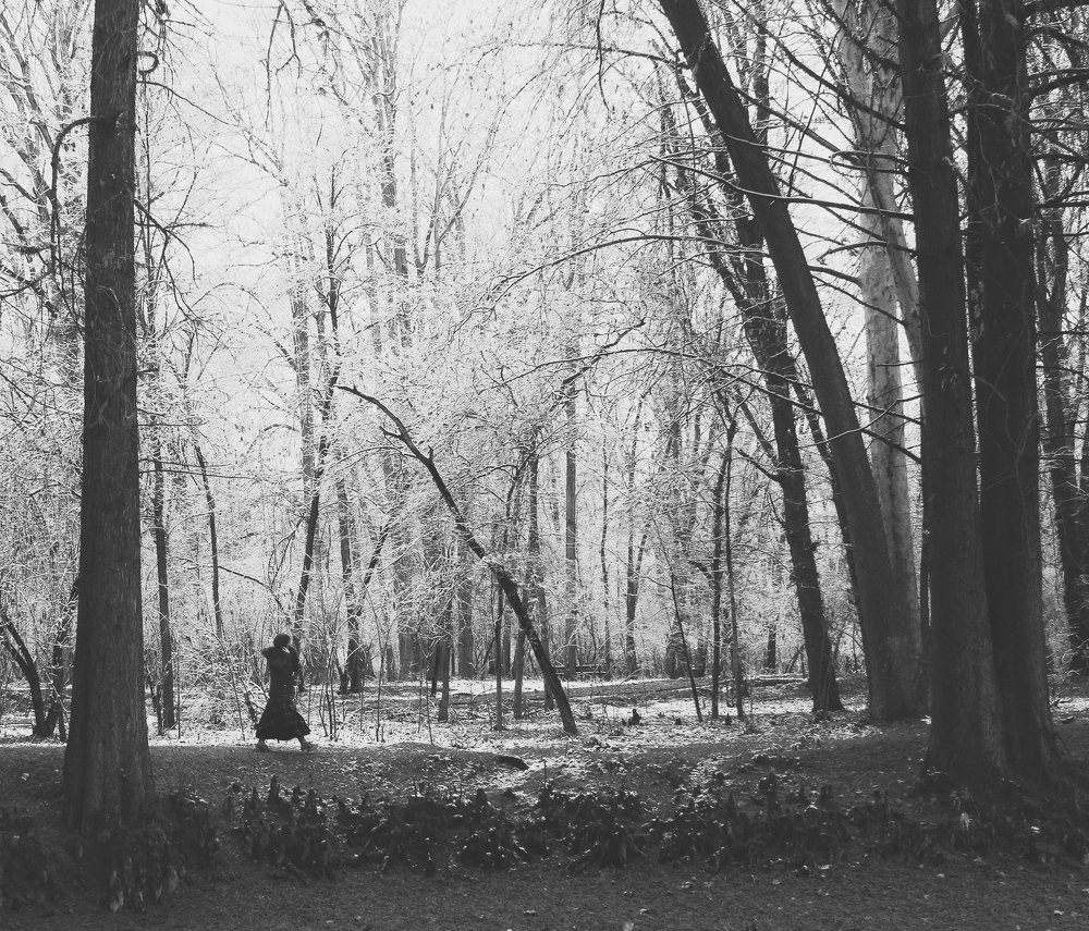 Photograph by Жанна Шаталина