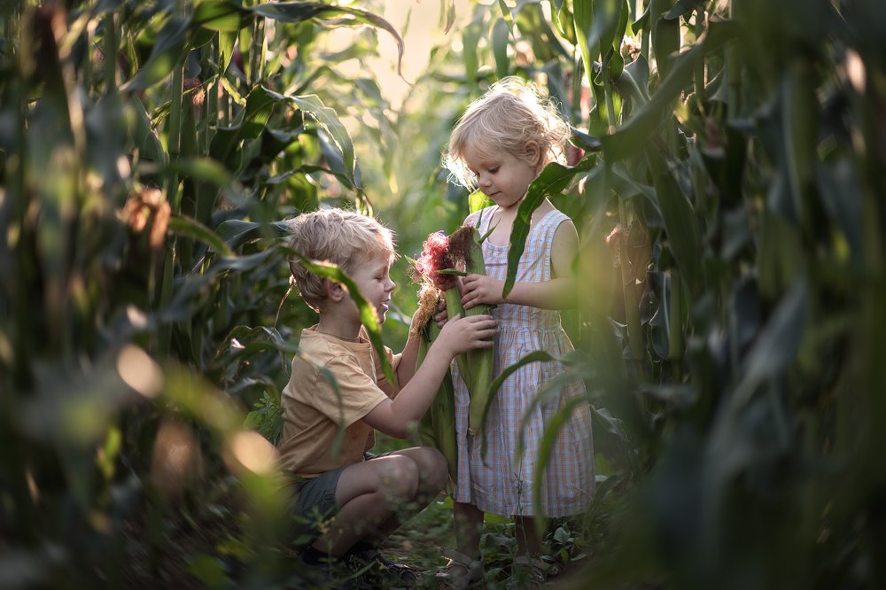 Photograph by Татьяна Баянова