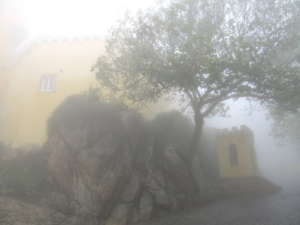 Photo #4033640