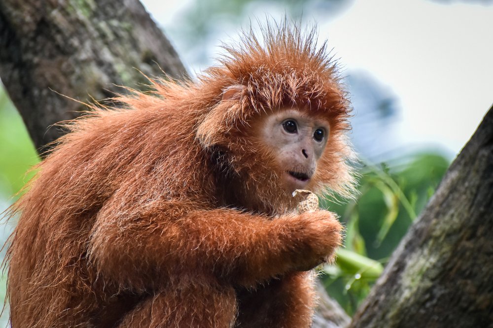 Photograph by Nicholas Ng