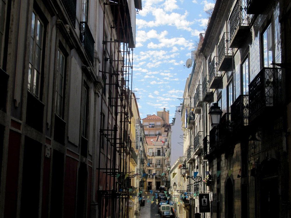 Photo #4033649
