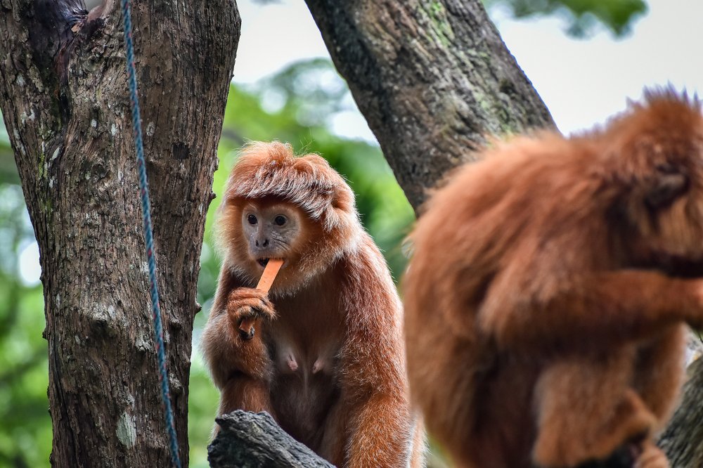 Photograph by Nicholas Ng