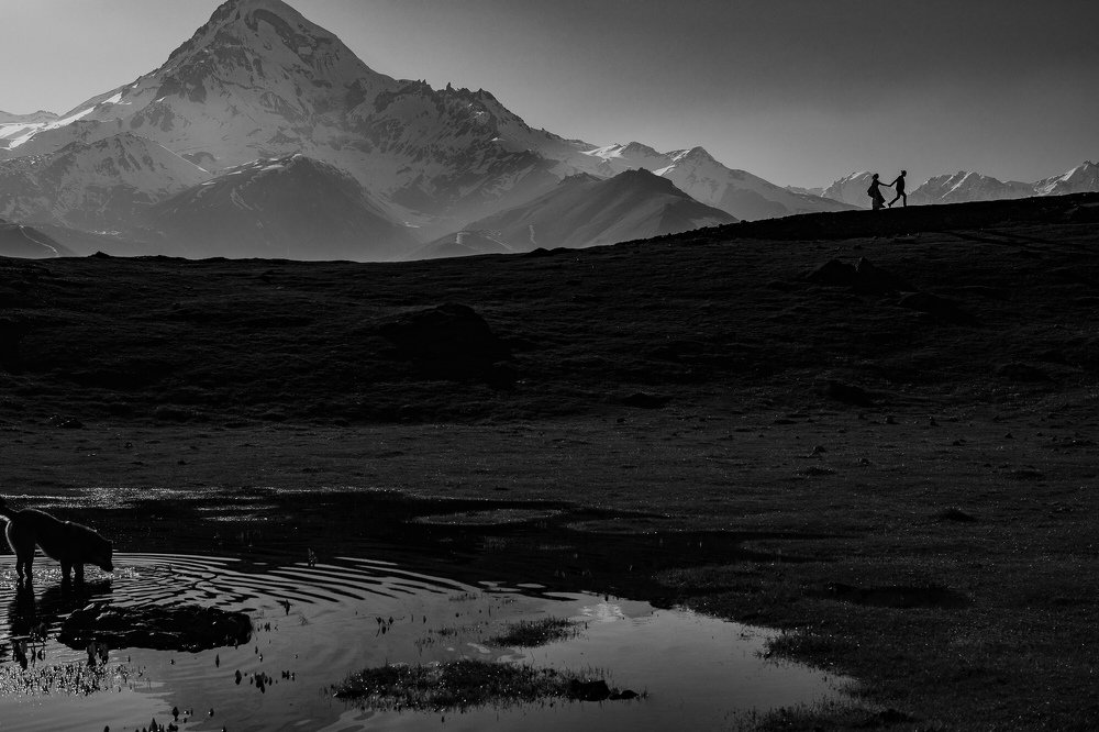 Photograph by Александр Дзюбчук