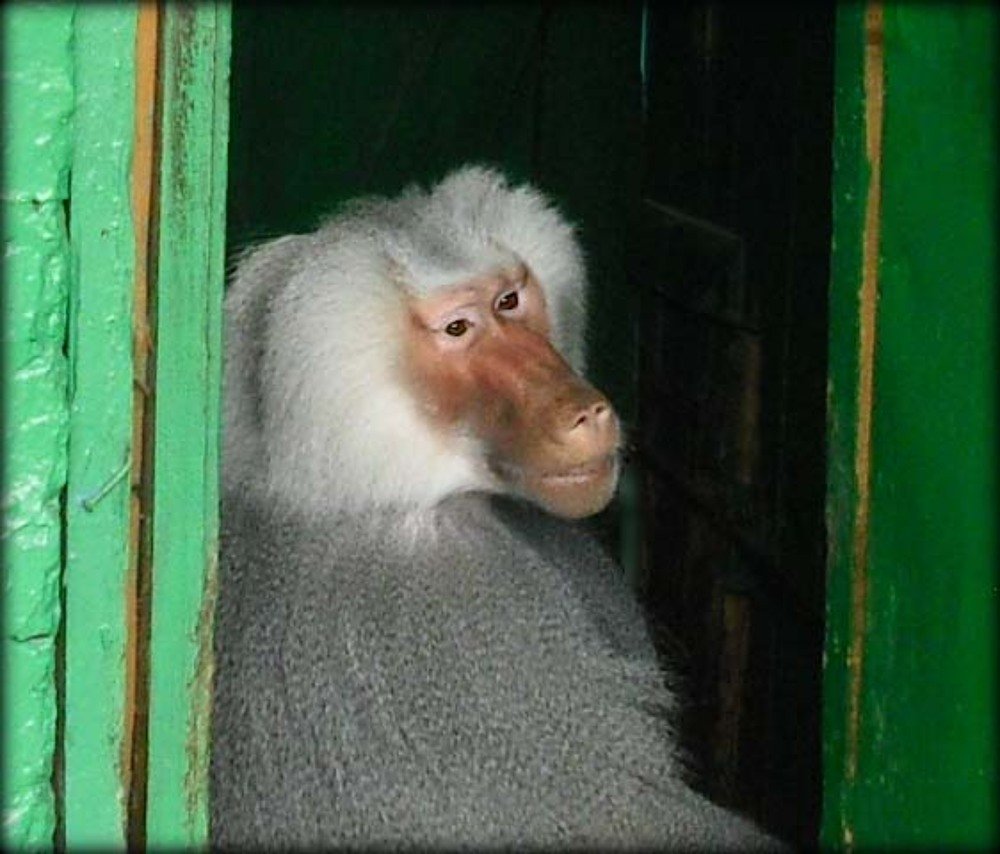 Photograph by Елена Куннова