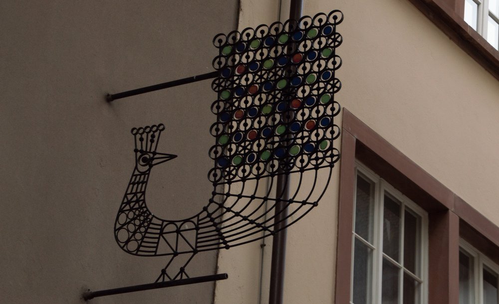 Фотография автора Нелли Хохлова