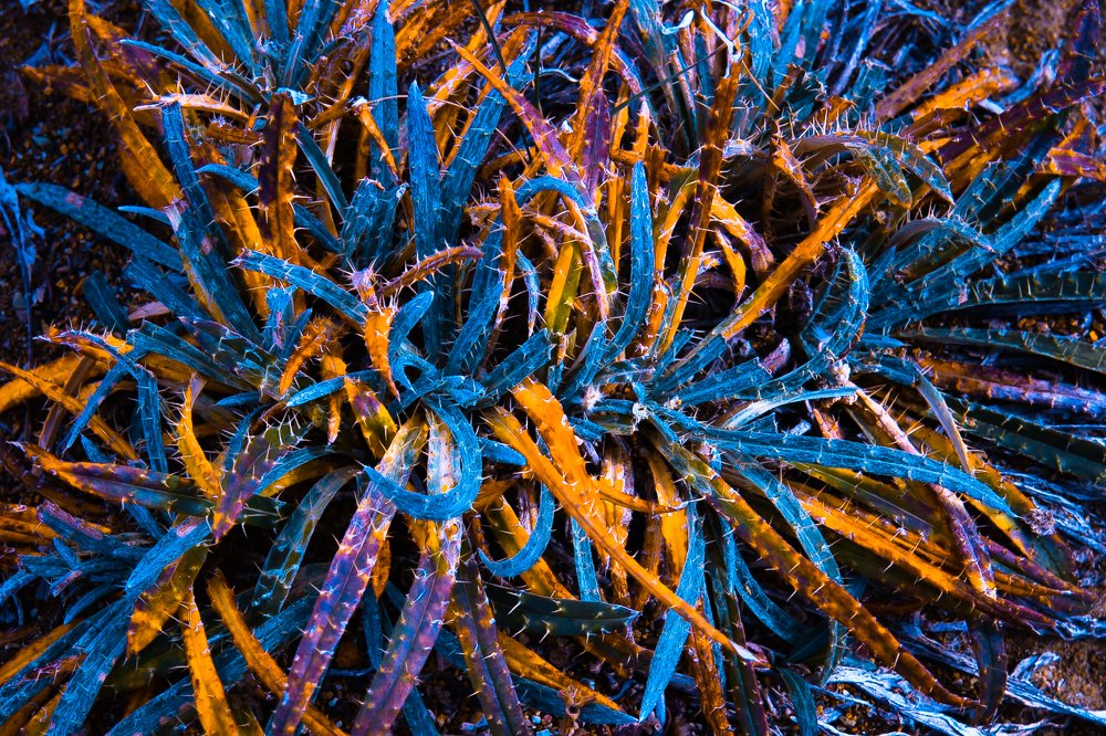 Фотография автора Алексей Новиков