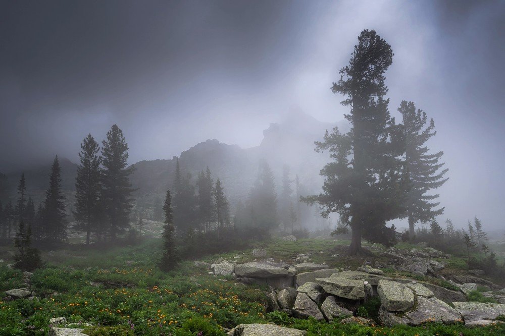 В облаках Тайгишонка