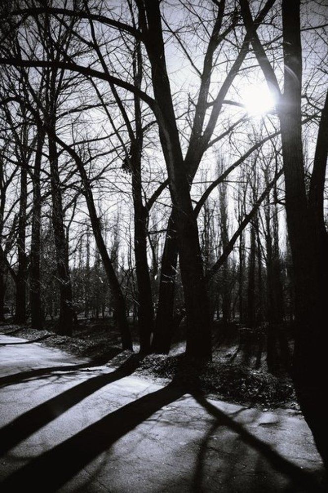 Photograph by Леонид Гроссман