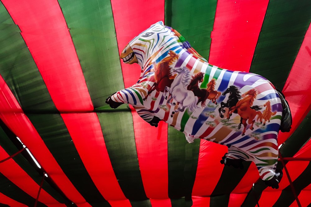 Photograph by Muhaiminul Islam Munaj Kazi