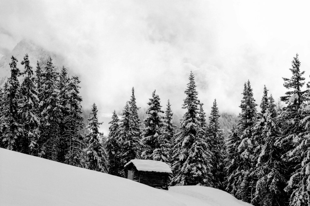 Photograph by Михаил Четвертков