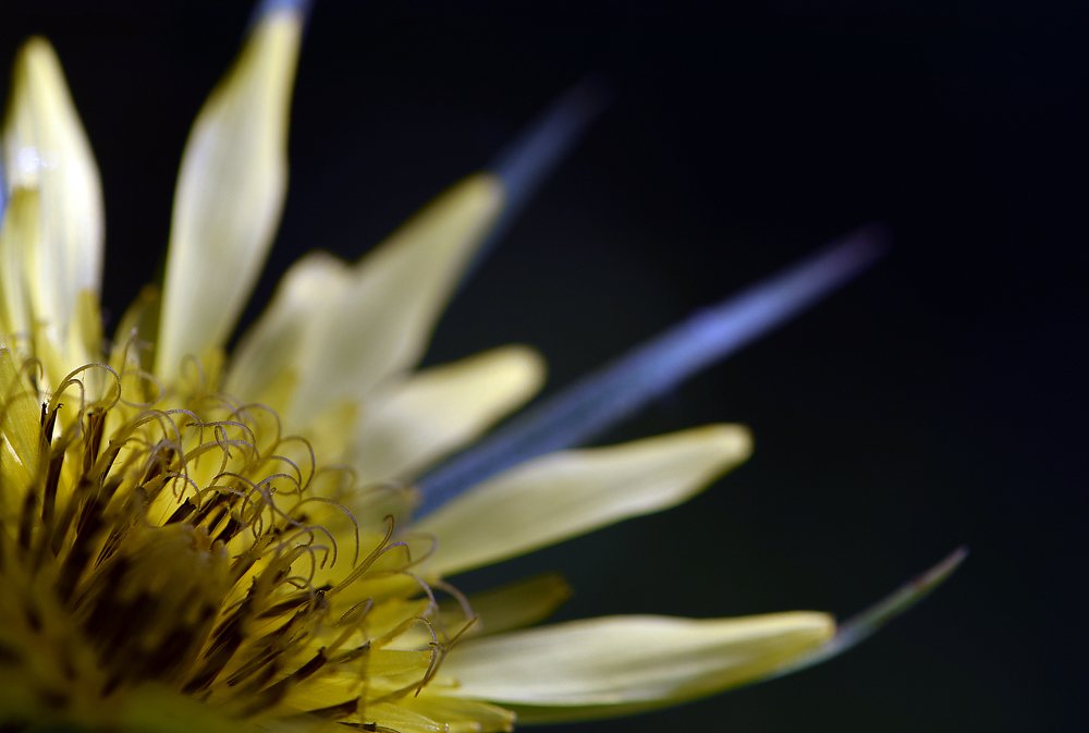 Photograph by Юлия Старкова