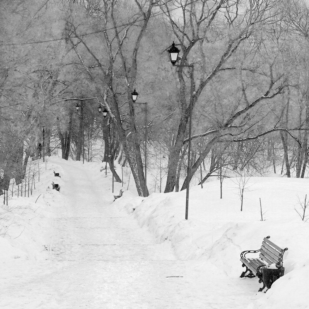 Photograph by Талгат Батыргареев