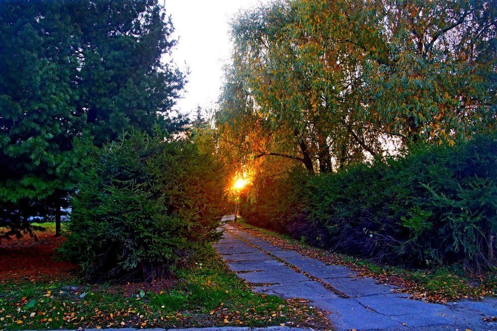 Photograph by Владимир Бормотов